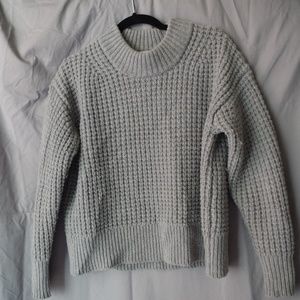 Everlane Oversized Soft Cotton Crew Sweater